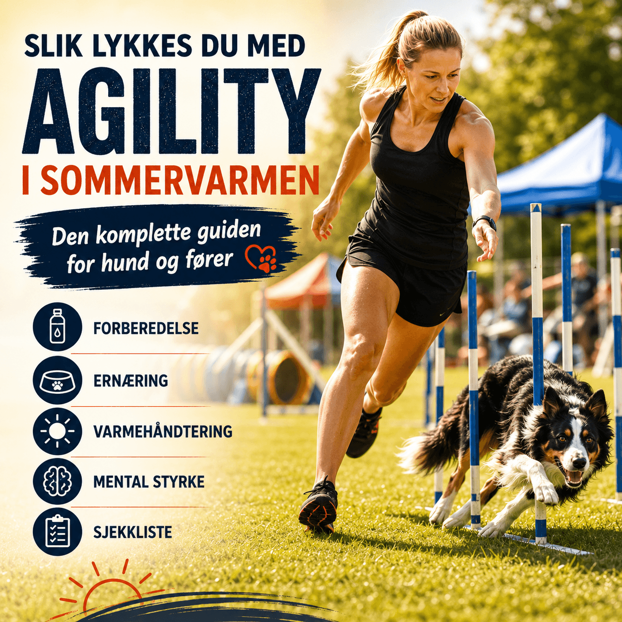 Slik lykkes du med agility i sommervarmen – den komplette guiden for hund og fører