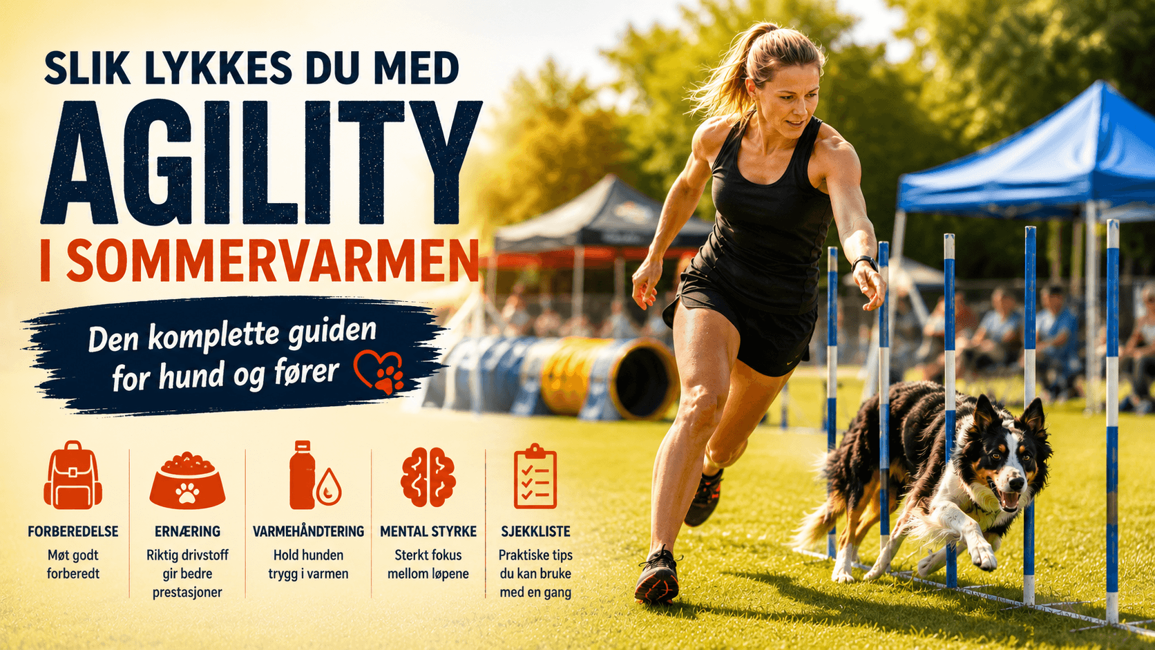 Slik lykkes du med agility i sommervarmen – den komplette guiden for hund og fører